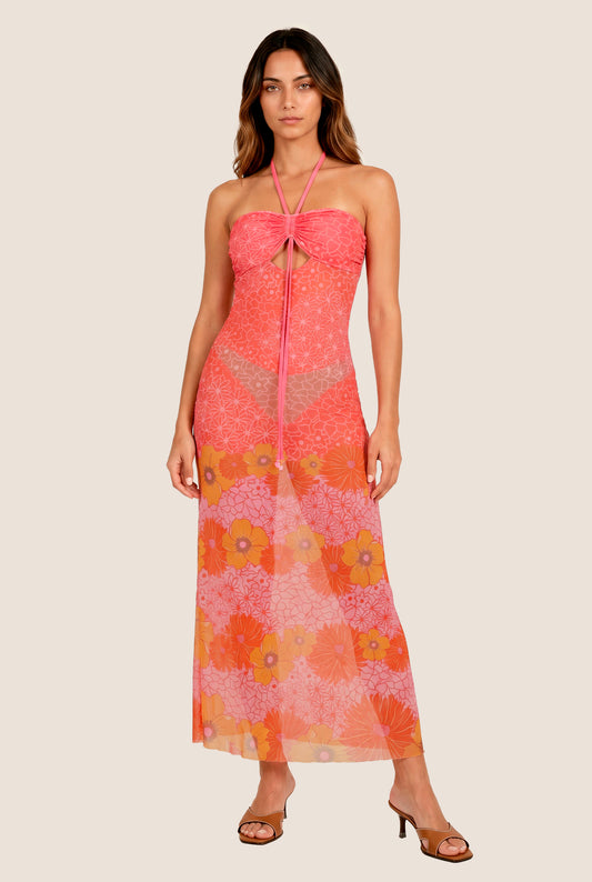 Avril Long Dress VEL287-FLO